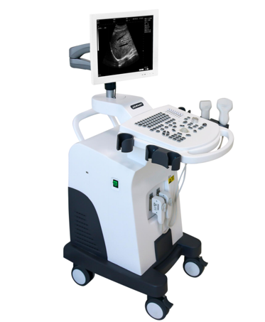15 inch Trolley B&W Ultrasound Scanner