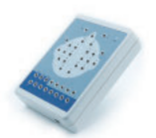 Digital Brain Electric Activity Mapping